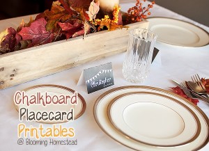 Placecard-Printable-by-Blooming-Homestead
