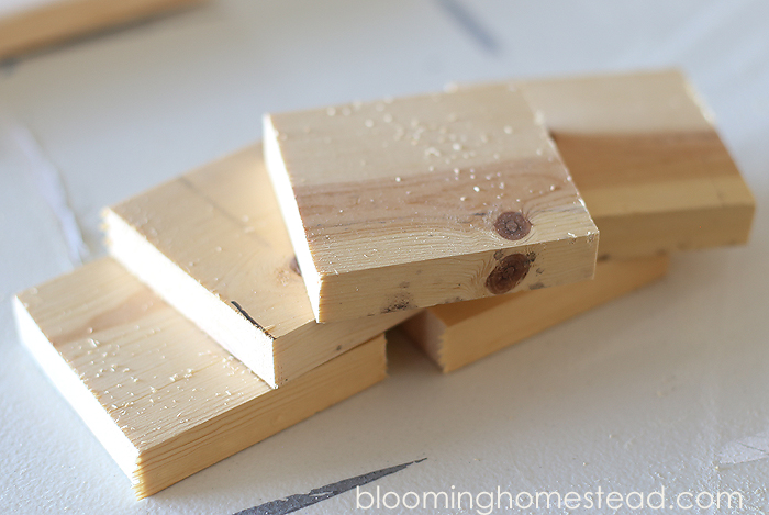 DIY Wood Coasters - Blooming Homestead