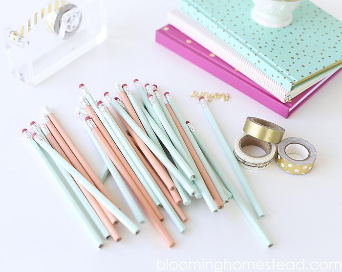 Chalk Paint Pencils - Blooming Homestead