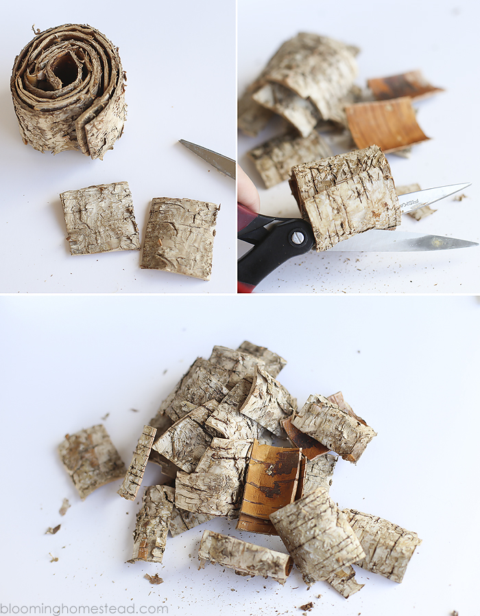 How to Make Birch Bark Flour and Bake With It. - TreeTime.ca Blog