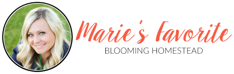 Maries-Favorite-4-1
