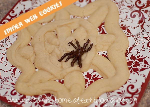 Spider Web Cookies