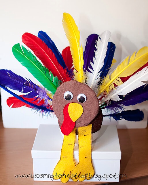A Thankful Turkey??