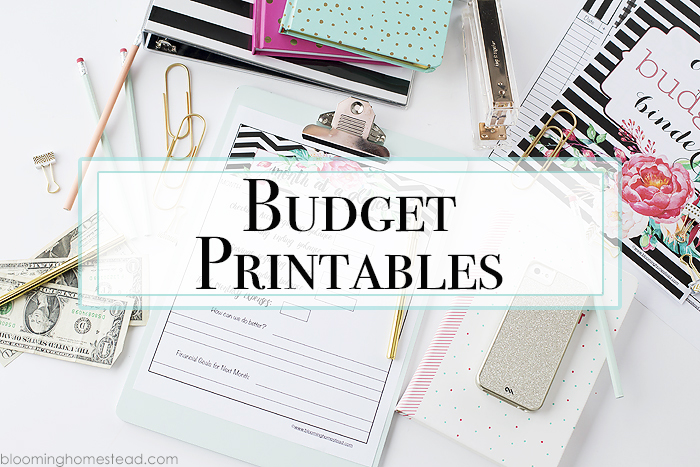 Month at a glance budget printables at Blooming Homestead copy ...