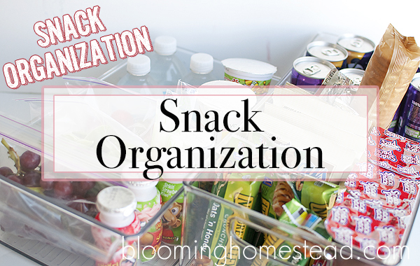 Back To School: Snack Organization