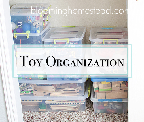 Toy Organization