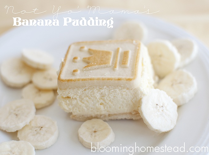 The BEST banana pudding ever…