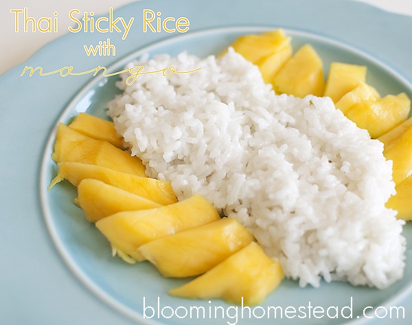 Thai Sticky Rice with Mango