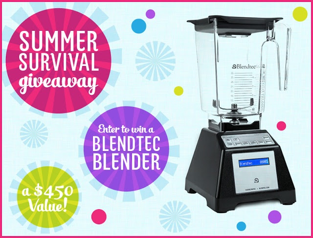 Blendtec Giveaway ($450 value!)