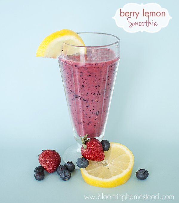 Refreshing Berry Lemon Smoothie