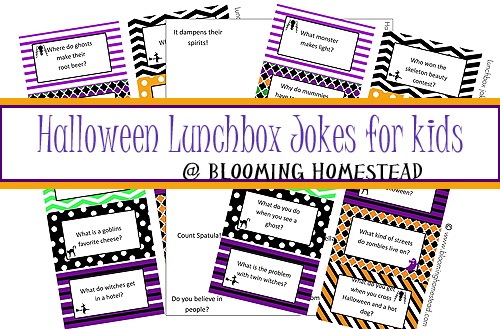 Lunchbox Jokes for kids {Halloween Edition!}