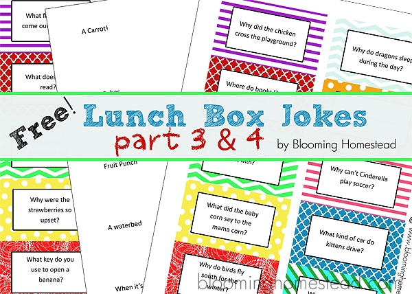 Lunch Jokes for Kids- Part 2