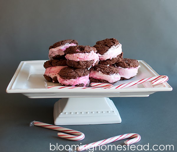 Peppermint Ice Cream Sandwiches