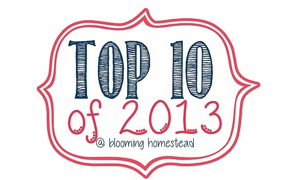 Top 10 posts from 2013!
