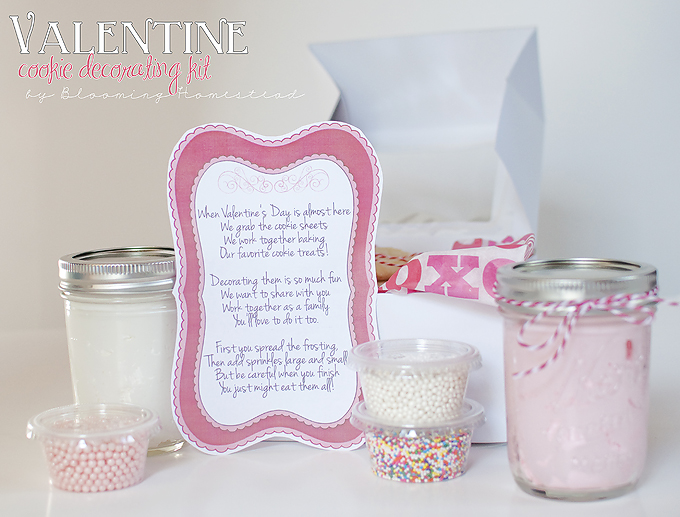 Valentine Cookie Decorating Kit by Blooming Homestead
