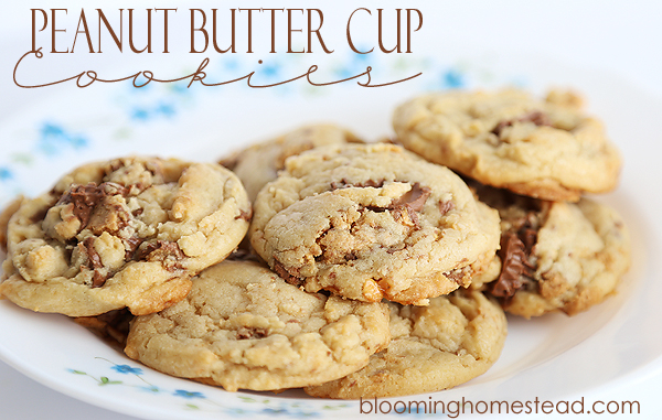 Reese's Peanut Butter Cup Cookies by Blooming Homestead