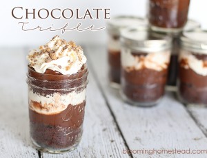 Delicious Chocolate Trifle Recipe from Blooming Homestead