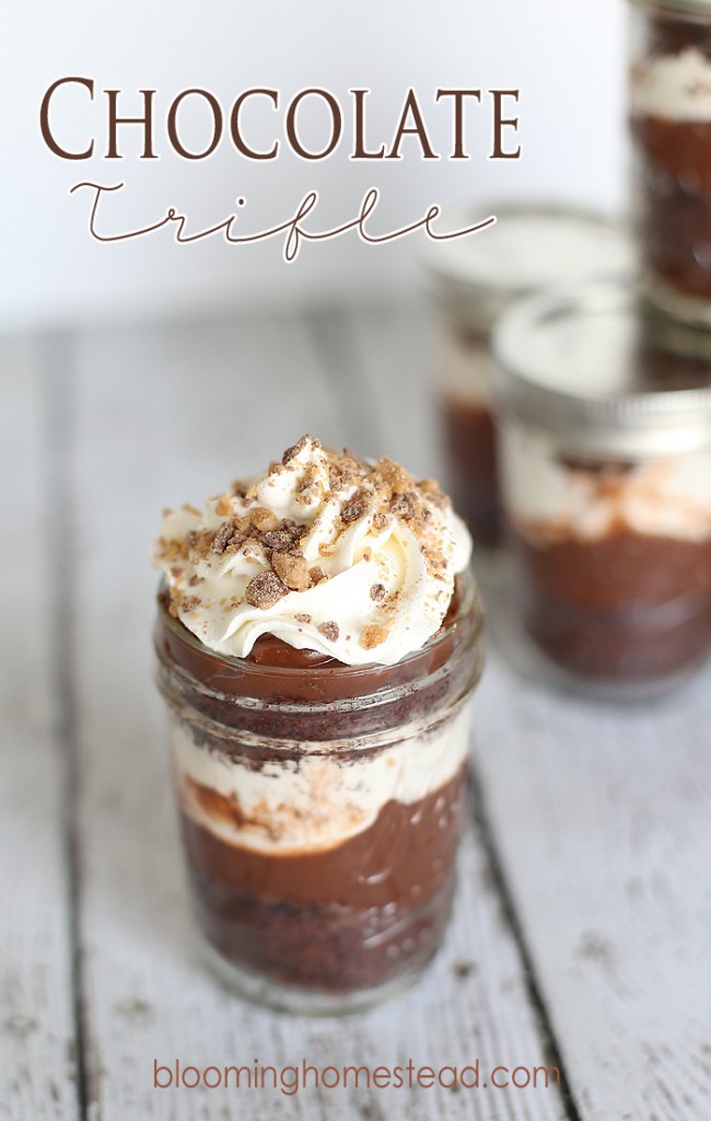 Chocolate Trifle3