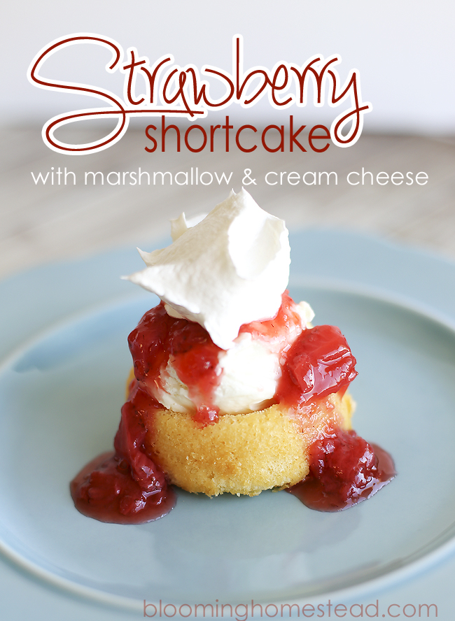 Strawberry Shortcake by Blooming Homestead