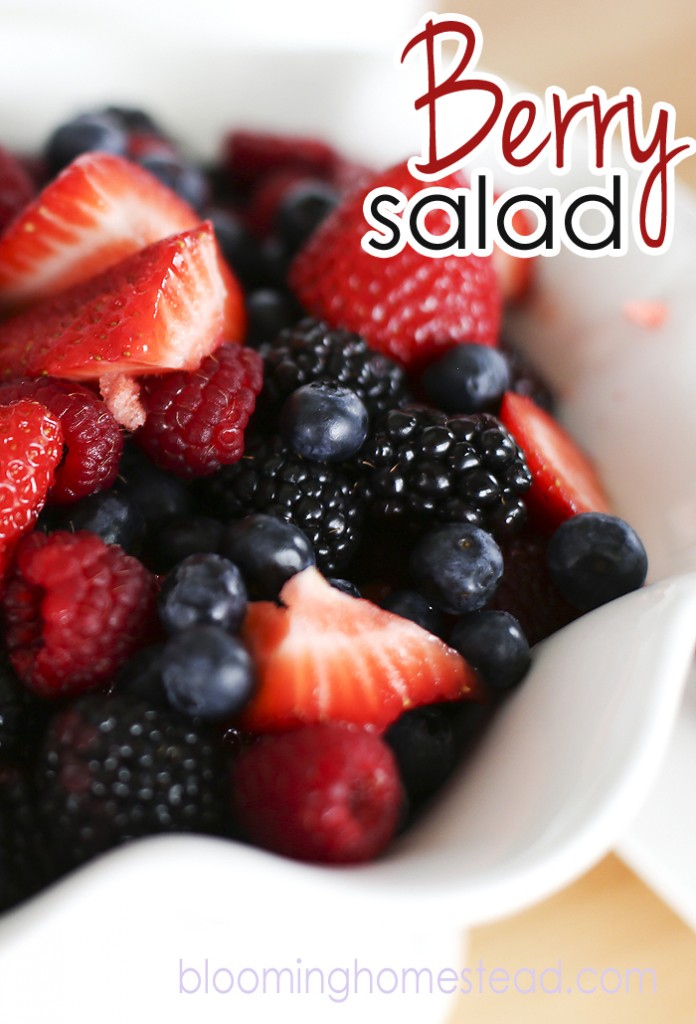 Berry Salad by Blooming Homestead12