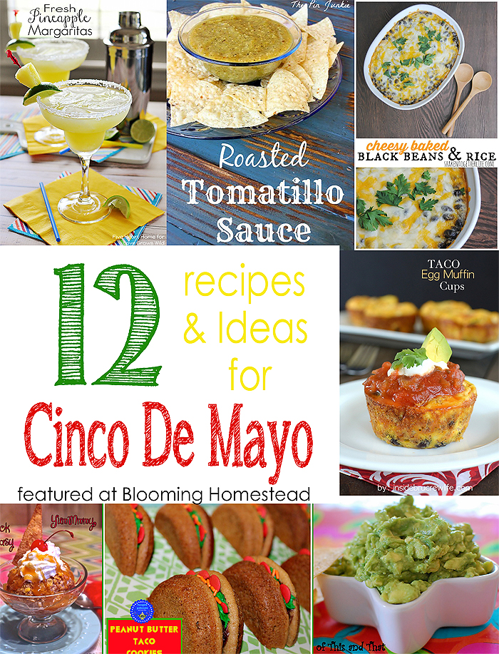 Cinco De Mayo Recipes and Ideas