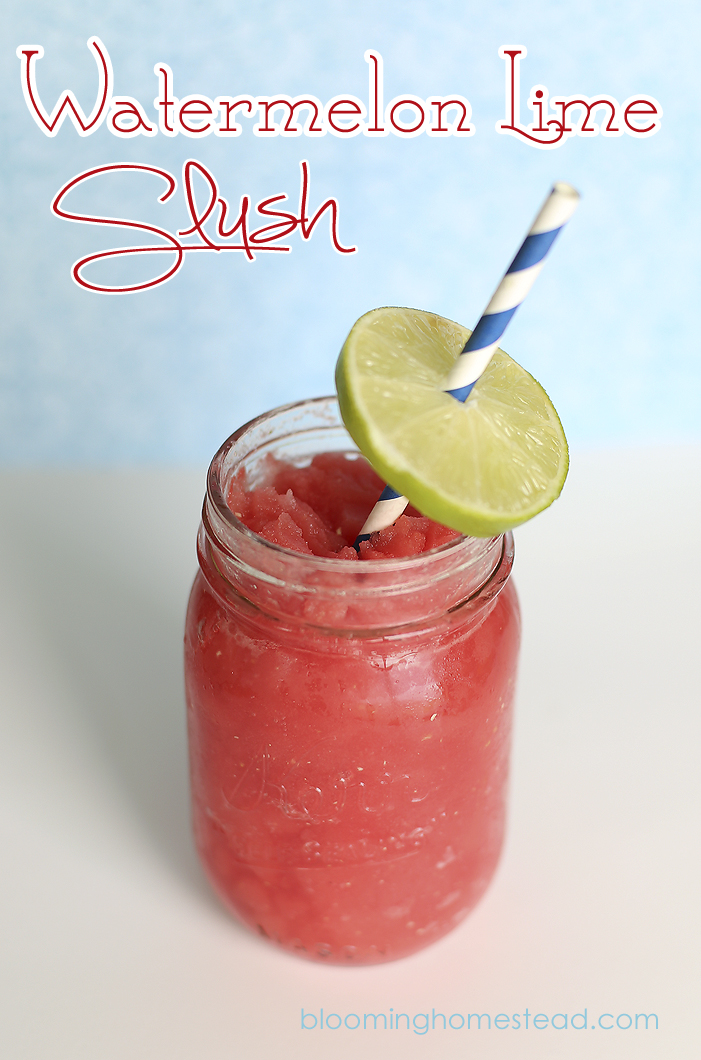 12Watermelon Lime Slush by Blooming Homestead