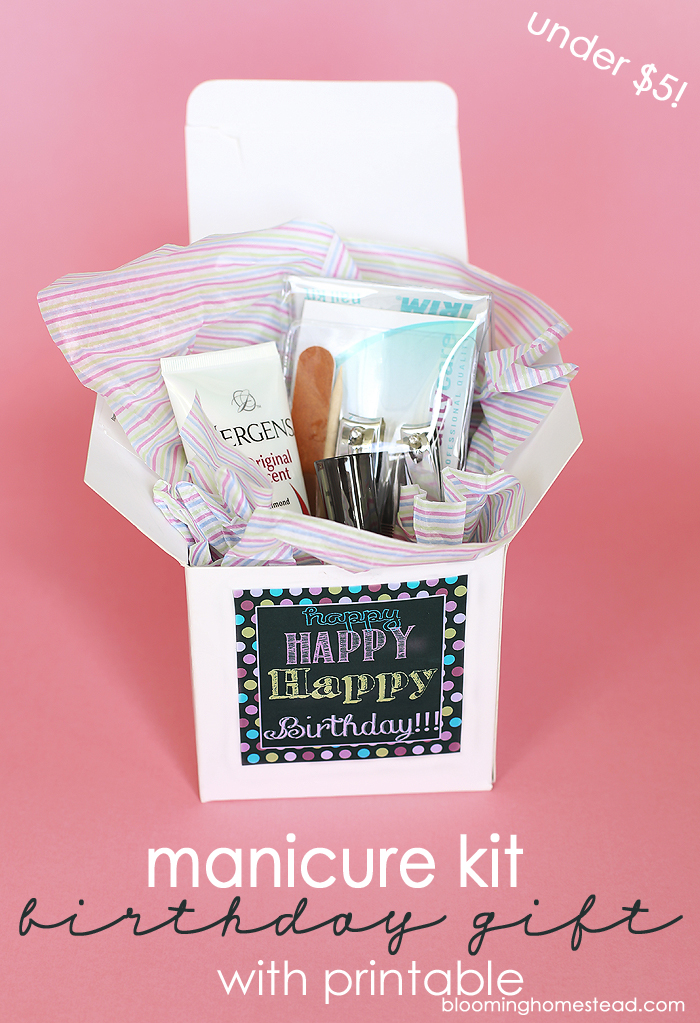 Manicure Kit Birthday Gift with Printable