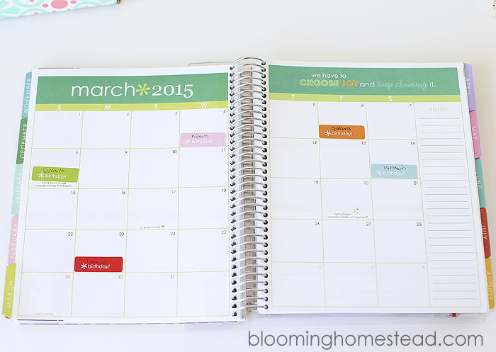 Getting Organized Planner at Blooming Homestead2