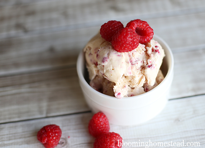 1Fresh Raspberry Ice Cream Recipe by Blooming Homestead