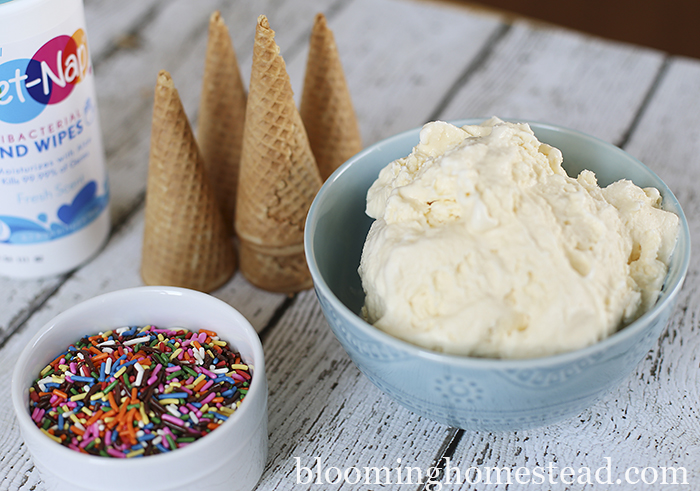 Old Fashioned Vanilla Ice Cream Recipe at Blooming Homestead