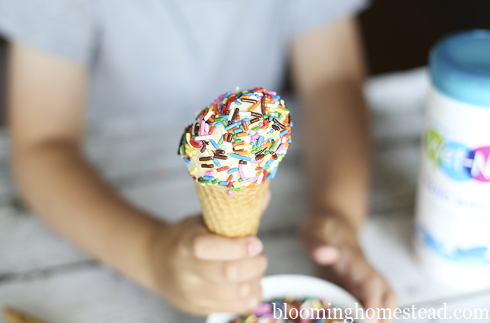 Old Fashioned Vanilla Ice Cream Recipe at Blooming Homestead