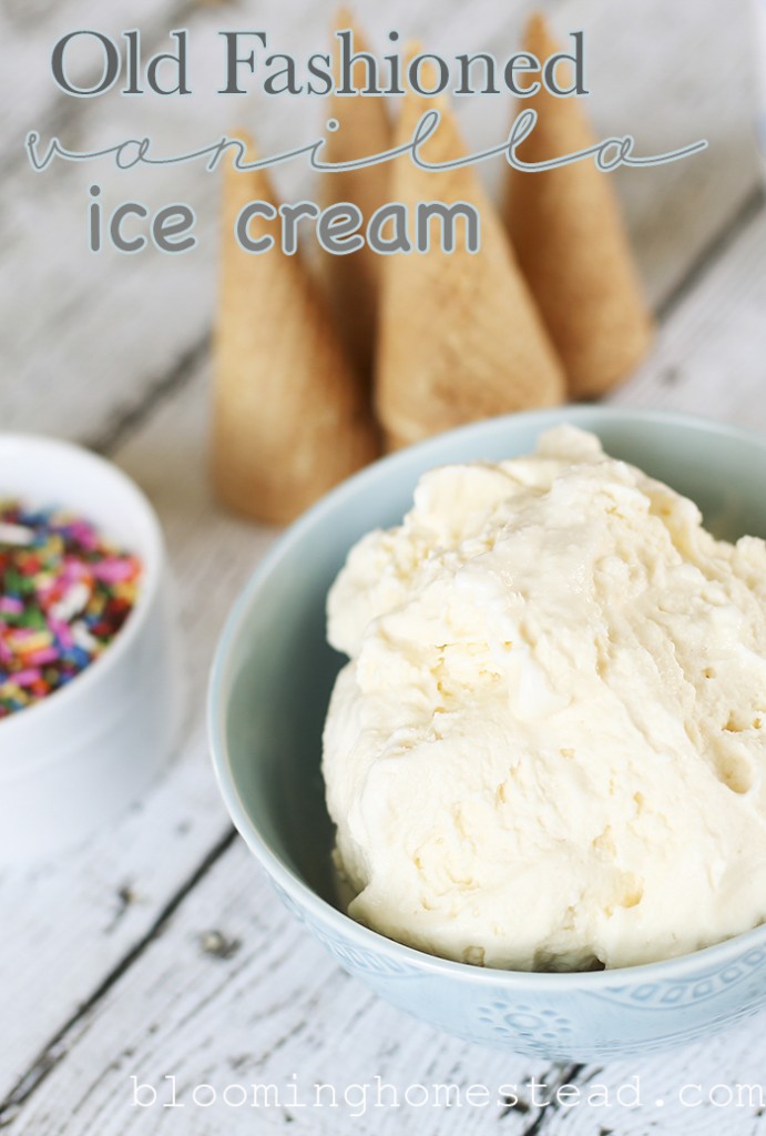 Old fashioned Vanilla Ice Cream