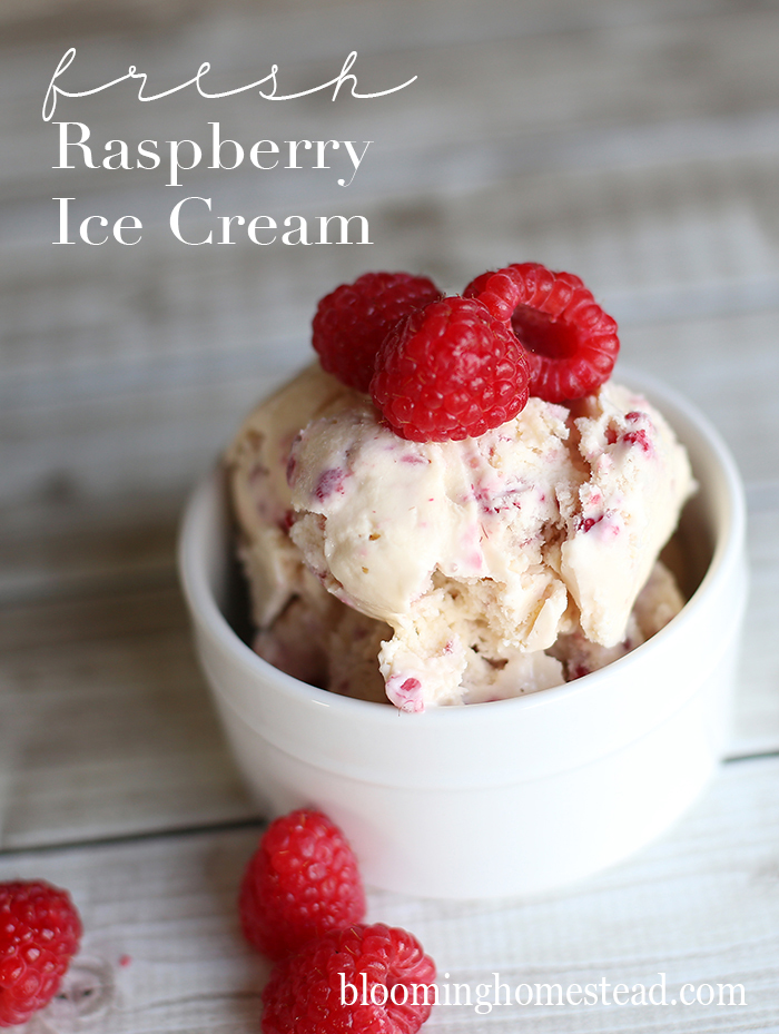 Fresh Raspberry Ice Cream Recipe by Blooming Homestead copy