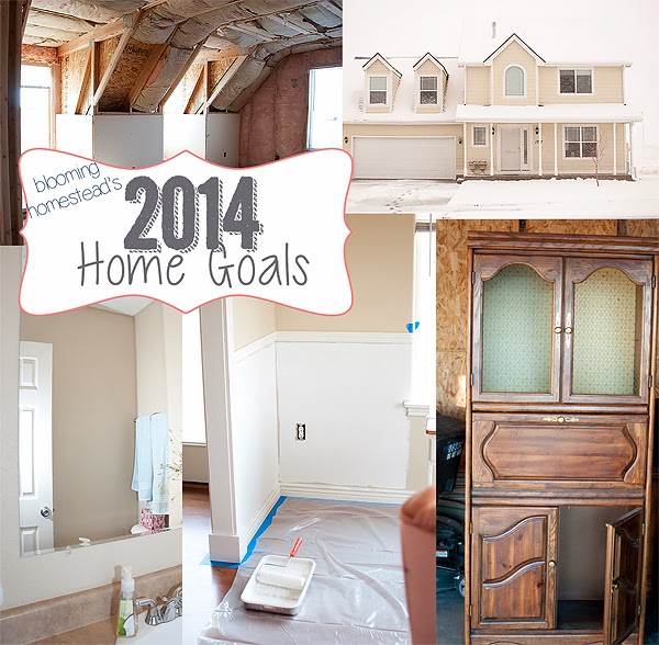 2014 Home Goals Update