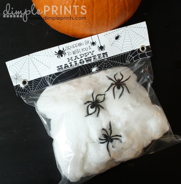 DimplePrints-Spider-Baggie-Topper-600x608