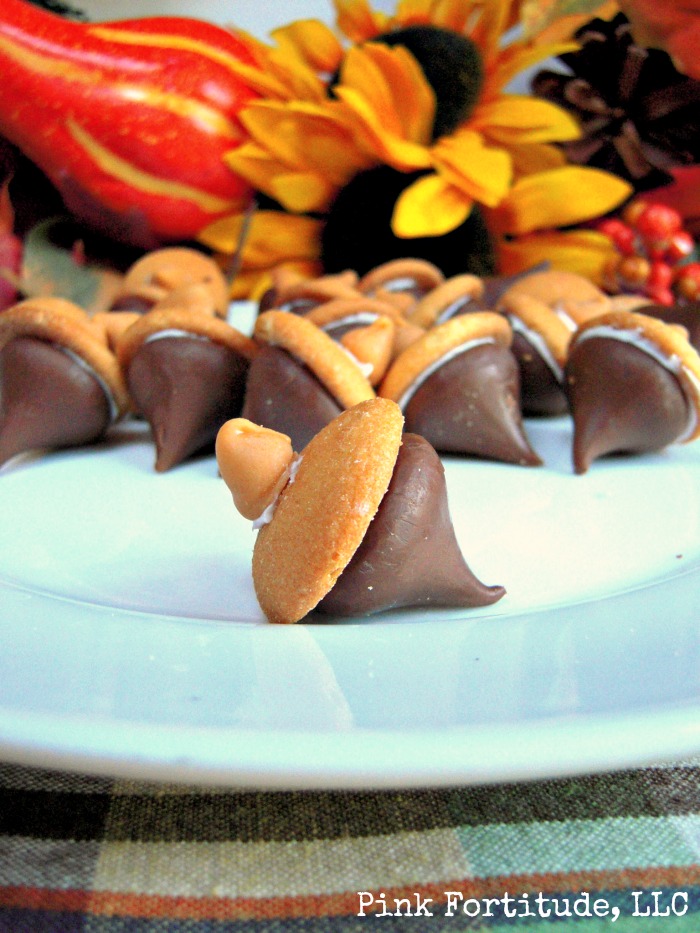 the-creative-collection-acorn-treats