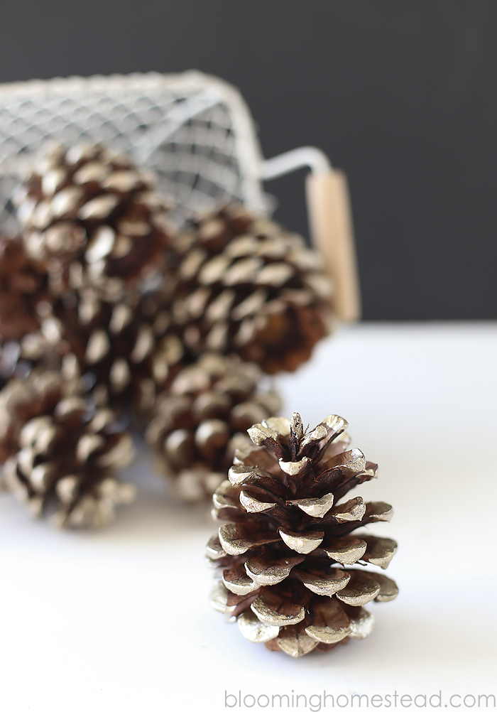 Simple and easy tutorial for gorgeous metallic painted pinecones. | diy |pinecones | christmas | home decor |fall