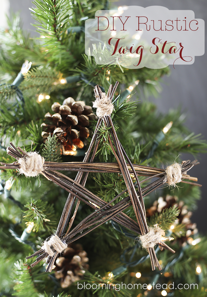 DIY Rustic Twig Star by Blooming Homestead