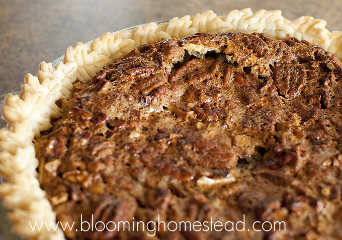 pecan pie