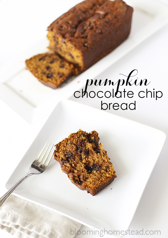 12Pumpkin-Chocolate-Chip-Bread-copy