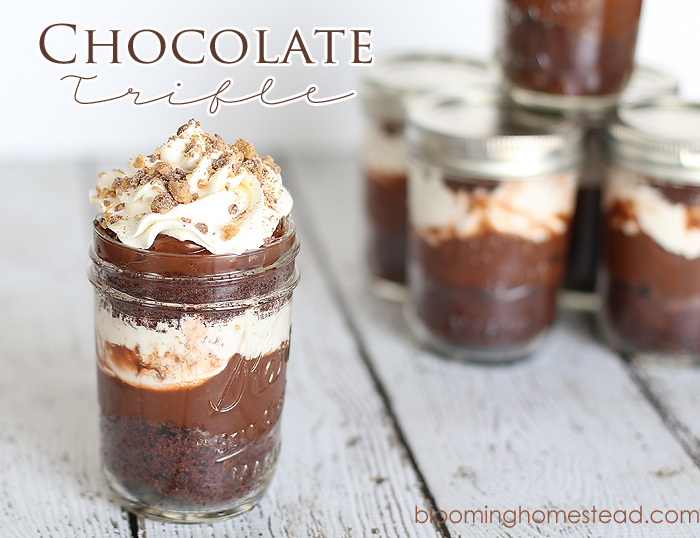 Chocolate-Trifle21