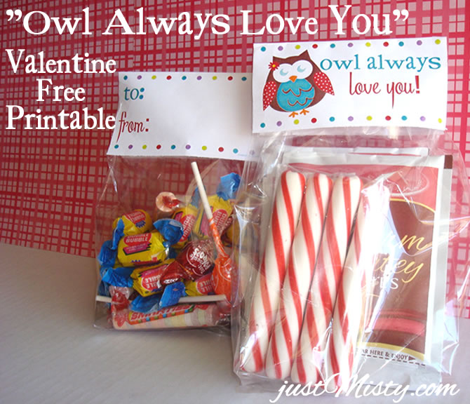 VALENTINESowltreatbags1