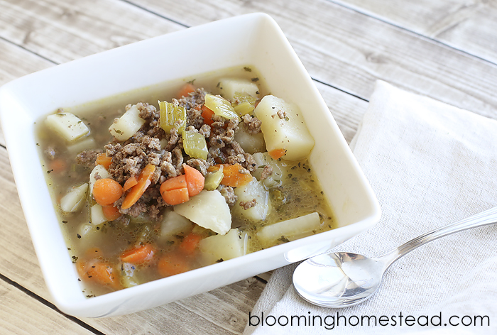 Vegetable Beef Soup