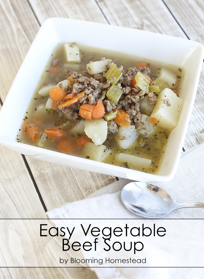 Easy Vegetable Beef Soup