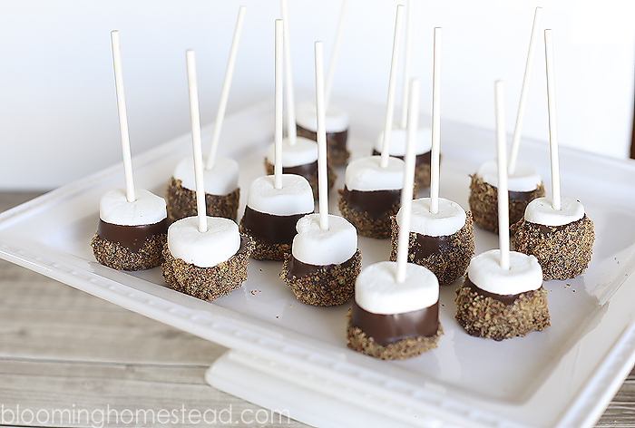 Reeses Smores Treats12