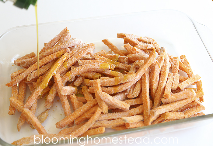 Sweet Potato Fries2