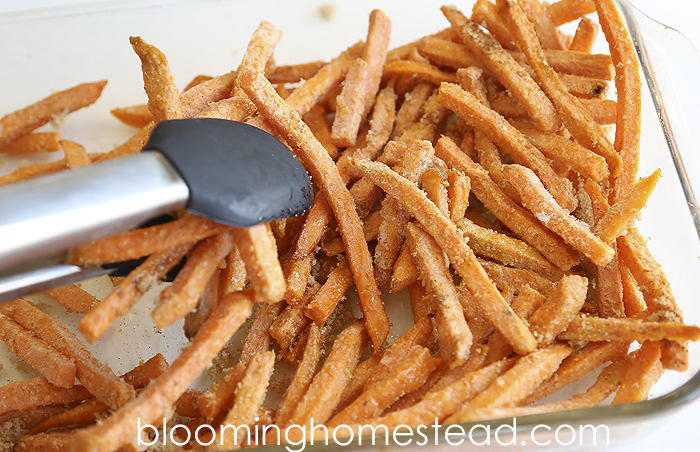 Sweet Potato Fries3