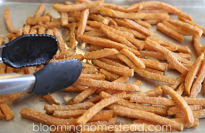 Sweet Potato Fries4