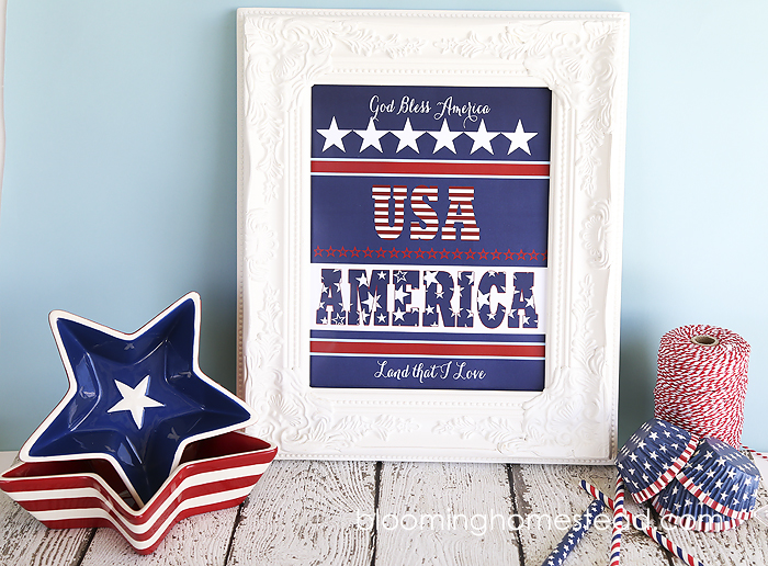 Beautiful Patriotic free Printable. Just download, print and frame and you have an adorable custom art print for 4th of July!