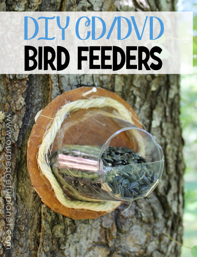 CD-DVD-Bird-Feeders